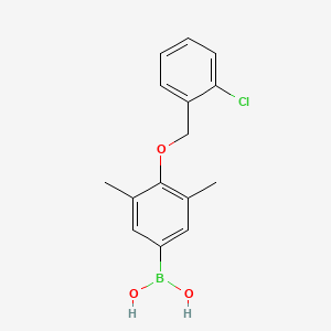 molecular formula C15H16BClO3 B7802287 4-(2'-氯苄氧基)-3,5-二甲苯硼酸 CAS No. 871125-98-3