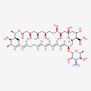 molecular formula C47H75NO17 B7802587 Nystatin, European Pharmacopoeia (EP) Reference Standard 