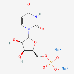 molecular formula C9H11N2Na2O9P B7803349 Disodium uridine-5'-monophosphate CAS No. 7545-48-4