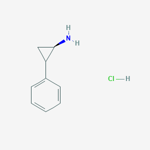 molecular formula C9H12ClN B7804044 (1R)-2-phenylcyclopropan-1-amine;hydrochloride 