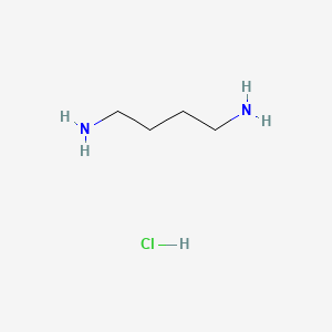 molecular formula C4H13ClN2 B7804051 Butane-1,4-diamine hydrochloride 