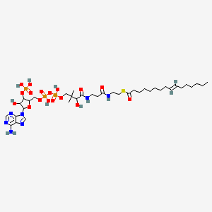 molecular formula C37H64N7O17P3S B7804070 {[5-(6-amino-9H-purin-9-yl)-2-{[({[(3-{[2-({2-[(9E)-hexadec-9-enoylsulfanyl]ethyl}carbamoyl)ethyl]carbamoyl}-3-hydroxy-2,2-dimethylpropoxy)(hydroxy)phosphoryl]oxy}(hydroxy)phosphoryl)oxy]methyl}-4-hydroxyoxolan-3-yl]oxy}phosphonic acid 