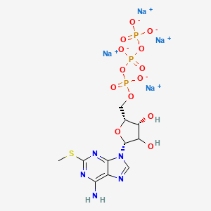 molecular formula C11H14N5Na4O13P3S B7804406 2-Methylthioadenosine triphosphate tetrasodium 