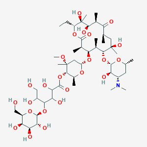 molecular formula C49H87NO24 B7805088 Erythromycinlactobionate(200MG) 