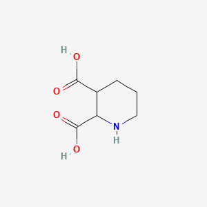 molecular formula C7H11NO4 B7805310 哌啶-2,3-二羧酸 CAS No. 17079-18-4