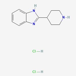 molecular formula C12H17Cl2N3 B7805470 2-(piperidin-4-yl)-1H-benzimidazole dihydrochloride 