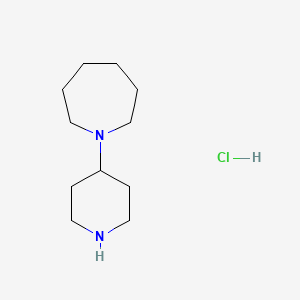 molecular formula C11H23ClN2 B7805651 1-Piperidin-4-yl-azepane hydrochloride 