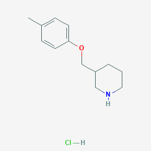 molecular formula C13H20ClNO B7805665 3-[(4-Methylphenoxy)methyl]piperidine hydrochloride 