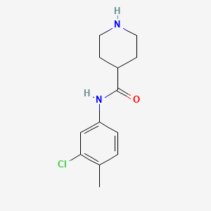 molecular formula C13H17ClN2O B7807252 N-(3-Chloro-4-methylphenyl)piperidine-4-carboxamide 