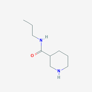 molecular formula C9H18N2O B7807297 N-propylpiperidine-3-carboxamide 