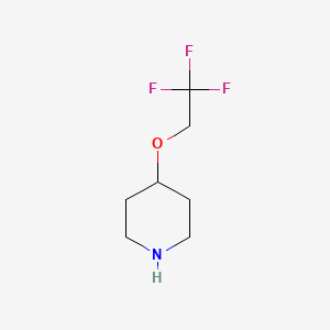 molecular formula C7H12F3NO B7807366 4-(2,2,2-Trifluoroethoxy)piperidine 