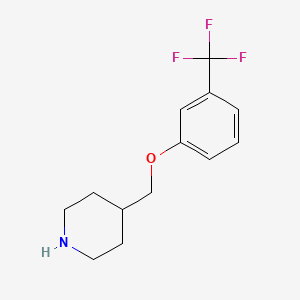 molecular formula C13H16F3NO B7808088 4-((3-(Trifluoromethyl)phenoxy)methyl)piperidine 