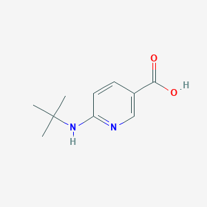 molecular formula C10H14N2O2 B7808143 6-(tert-Butylamino)nicotinic acid 