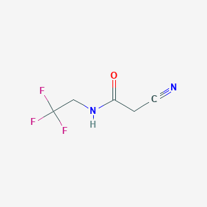 molecular formula C5H5F3N2O B7808366 2-Cyano-N-(2,2,2-trifluoroethyl)-acetamide 