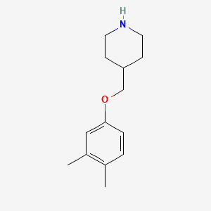 molecular formula C14H21NO B7808430 4-[(3,4-Dimethylphenoxy)methyl]piperidine 
