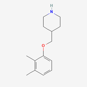 molecular formula C14H21NO B7808741 4-[(2,3-Dimethylphenoxy)methyl]piperidine 