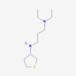 N1,N1-Diethyl-N3-(tetrahydrothiophen-3-yl)propane-1,3-diamine