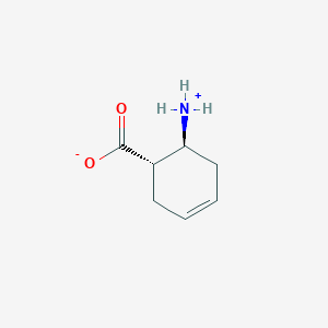 molecular formula C7H11NO2 B7809800 反式-2-氨基环己-4-烯羧酸 