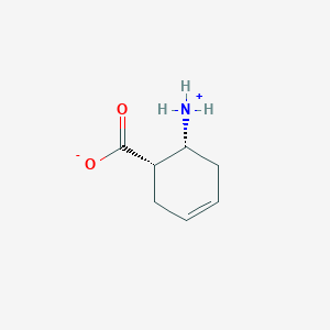 molecular formula C7H11NO2 B7810128 (1S,6R)-6-Ammoniocyclohex-3-enecarboxylate 