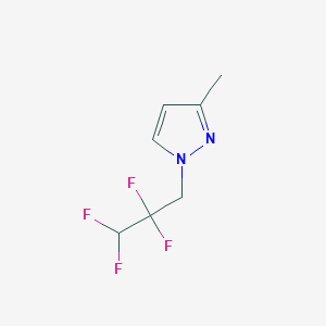 molecular formula C7H8F4N2 B7811300 3-methyl-1-(2,2,3,3-tetrafluoropropyl)-1H-pyrazole 