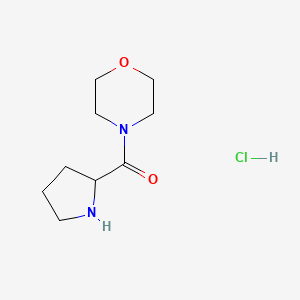 molecular formula C9H17ClN2O2 B7812626 4-L-Prolylmorpholine hydrochloride 