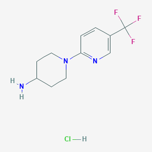 molecular formula C11H15ClF3N3 B7812722 1-[5-(Trifluoromethyl)pyridin-2-yl]piperidin-4-amine;hydrochloride 