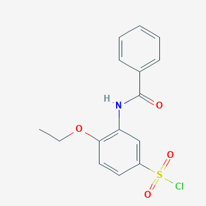 molecular formula C15H14ClNO4S B7813058 3-Benzamido-4-ethoxybenzenesulfonyl chloride 