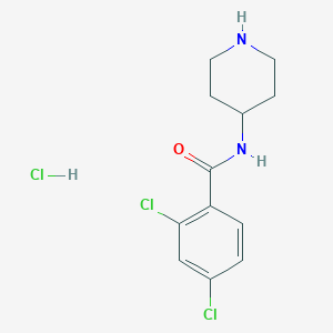 molecular formula C12H15Cl3N2O B7813687 2,4-dichloro-N-piperidin-4-ylbenzamide;hydrochloride 