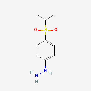 molecular formula C9H14N2O2S B7814050 1-[4-(Isopropylsulfonyl)phenyl]hydrazine 