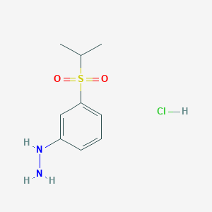 molecular formula C9H15ClN2O2S B7814058 (3-Propan-2-ylsulfonylphenyl)hydrazine;hydrochloride 