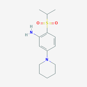 molecular formula C14H22N2O2S B7814073 2-[(1-Methylethyl)sulfonyl]-5-(1-piperidinyl)benzenamine CAS No. 1048919-53-4