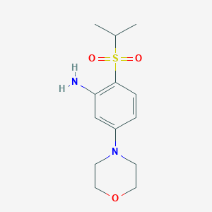 molecular formula C13H20N2O3S B7814075 2-[(1-Methylethyl)sulfonyl]-5-(4-morpholinyl)benzenamine CAS No. 1048919-60-3