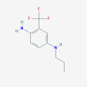 molecular formula C10H13F3N2 B7815836 4-N-propyl-2-(trifluoromethyl)benzene-1,4-diamine 