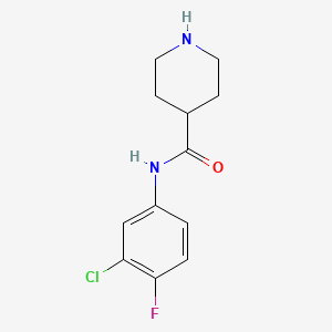 molecular formula C12H14ClFN2O B7815881 N-(3-chloro-4-fluorophenyl)piperidine-4-carboxamide 