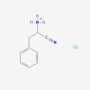 molecular formula C9H11ClN2 B7817619 (1-Cyano-2-phenylethyl)azanium;chloride 