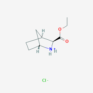 molecular formula C9H16ClNO2 B7817837 ethyl (1R,3S,4S)-2-azoniabicyclo[2.2.1]heptane-3-carboxylate;chloride 