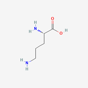 L-ornithine