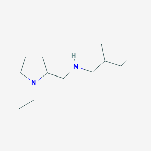 molecular formula C12H26N2 B7820034 [(1-Ethylpyrrolidin-2-yl)methyl](2-methylbutyl)amine 