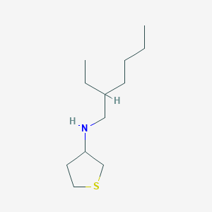 molecular formula C12H25NS B7820042 N-(2-ethylhexyl)thiolan-3-amine 