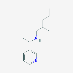 molecular formula C13H22N2 B7820049 (2-Methylpentyl)[1-(pyridin-3-yl)ethyl]amine 