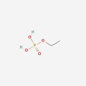 molecular formula C2H7O4P B7820841 二氢磷酸乙酯 CAS No. 67874-00-4