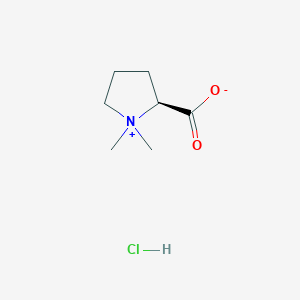molecular formula C7H14ClNO2 B7821205 盐酸马齿苋碱 