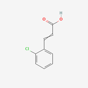 molecular formula C9H7ClO2 B7821656 3-(2-氯苯基)丙烯酸 