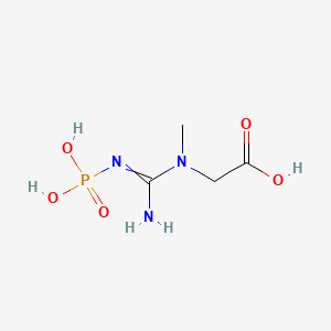 molecular formula C4H10N3O5P B7821826 Glycine, N-[imino(phosphonoamino)methyl]-N-methyl- 