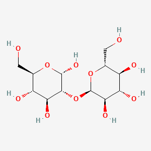 molecular formula C12H22O11 B7822955 2-O-alpha-D-Glucopyranosyl-alpha-D-glucose CAS No. 37169-66-7