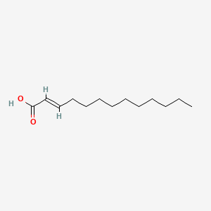 molecular formula C13H24O2 B7823642 2-Tridecenoic acid CAS No. 32466-55-0