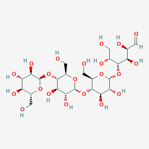 molecular formula C24H42O21 B7823670 alpha-1,4-Tetraglucose 