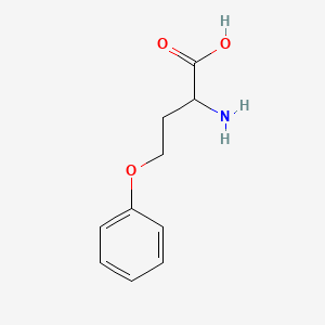 molecular formula C10H13NO3 B7825193 2-Amino-4-phenoxybutanoic acid 