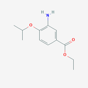 molecular formula C12H17NO3 B7825281 Ethyl 3-amino-4-isopropoxybenzoate 