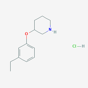 molecular formula C13H20ClNO B7826767 3-(3-Ethylphenoxy)piperidine hydrochloride 